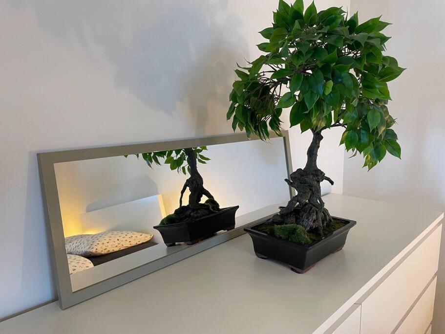 Magnifique Appartement A La Frontiere Suisse Saint-Louis  Εξωτερικό φωτογραφία